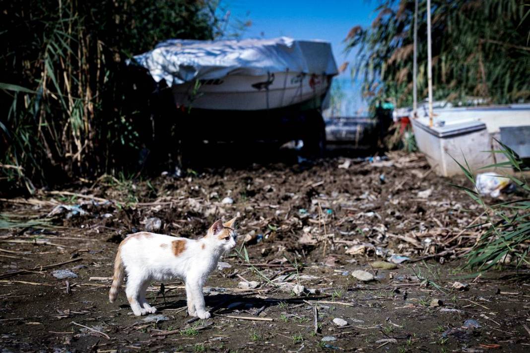 O kentte korkutan manzara: 'Herkes duyarlı olsun' çağrısı! Belediye fotoğraflarını çekip uyardı 25